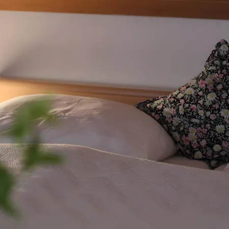 Gaestehaus Heimenberg 게스트하우스 바트리폴드사우샤프바흐